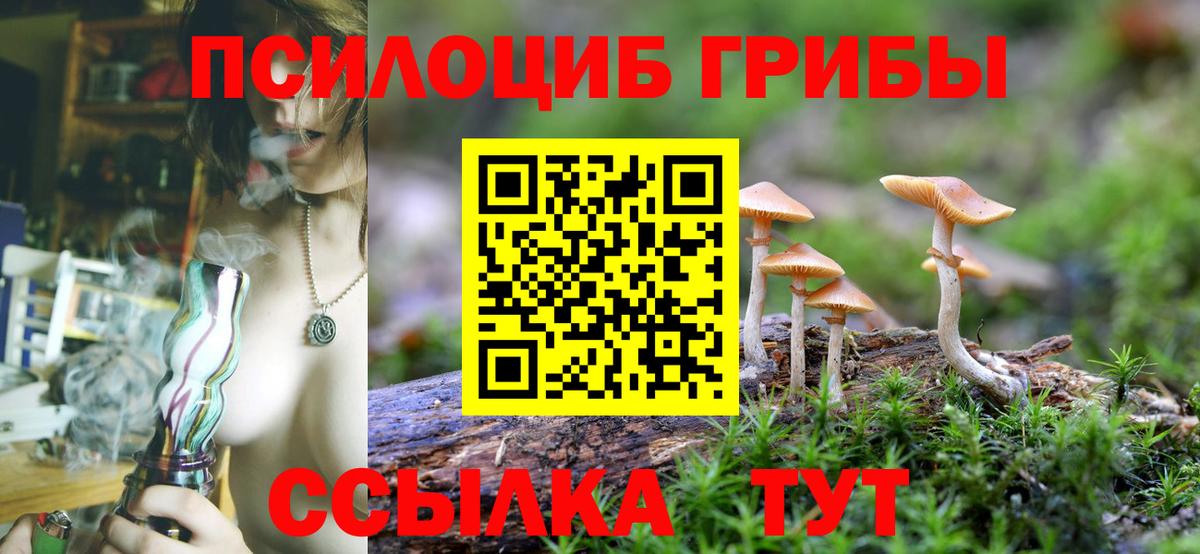 Карпинск  Галлюциногенные грибы GOLDEN TEACHER  наркошоп  Вход с VPN 